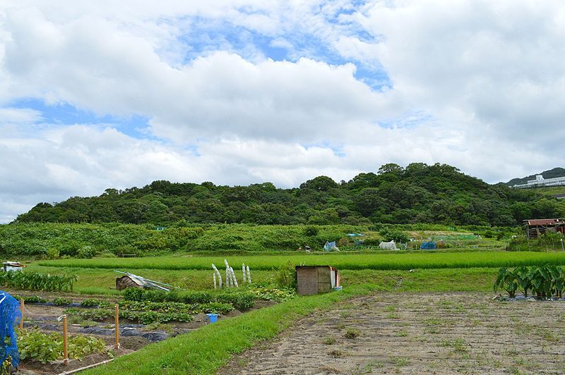 File:Sairyo Kofun zenkei-3.JPG