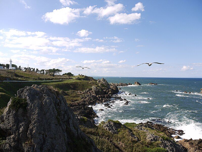 File:TanesashiBeachFromAshigezakiObservatory.JPG