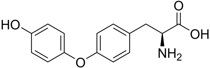 File:Thyronine.png