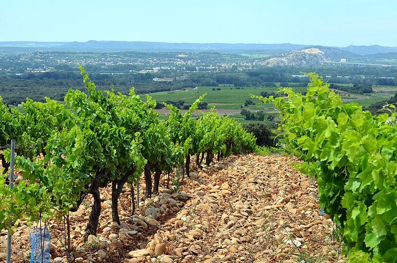 File:140614 Chateauneuf-du-pape-02.jpg