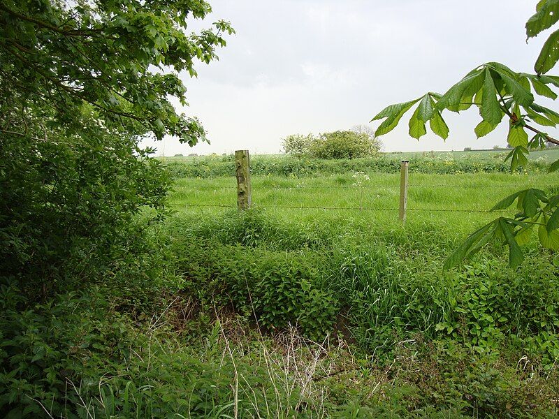 File:AlvinghamPrioryAbbeyChurchSite.JPG