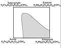 Biotite series (micas)