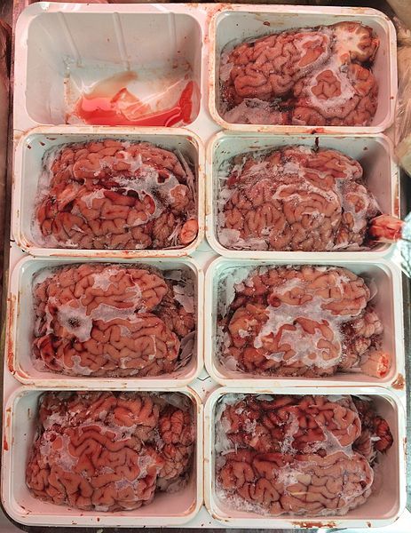 File:Brain as food.jpg