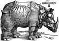 Rhinoceros (1515), woodcut, Albrecht Dürer