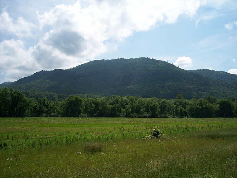 File:East Chilhowee Mountain.JPG