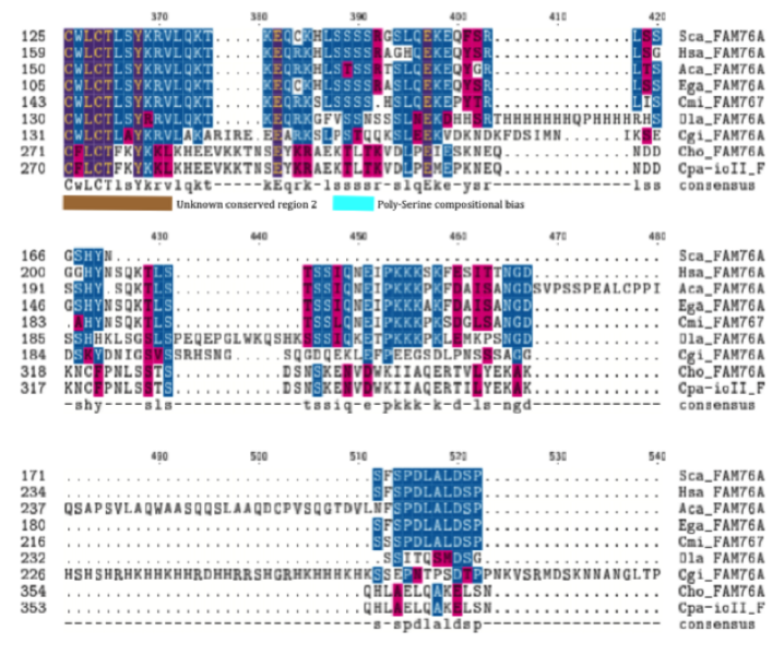 File:FAM76A MSA3.png