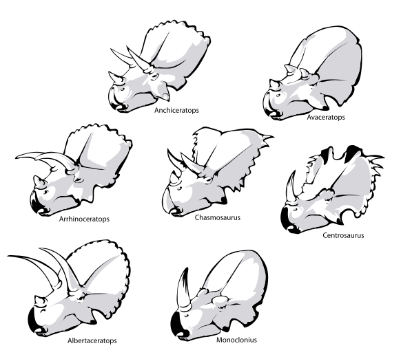 File:Familie Ceratopsidae.svg