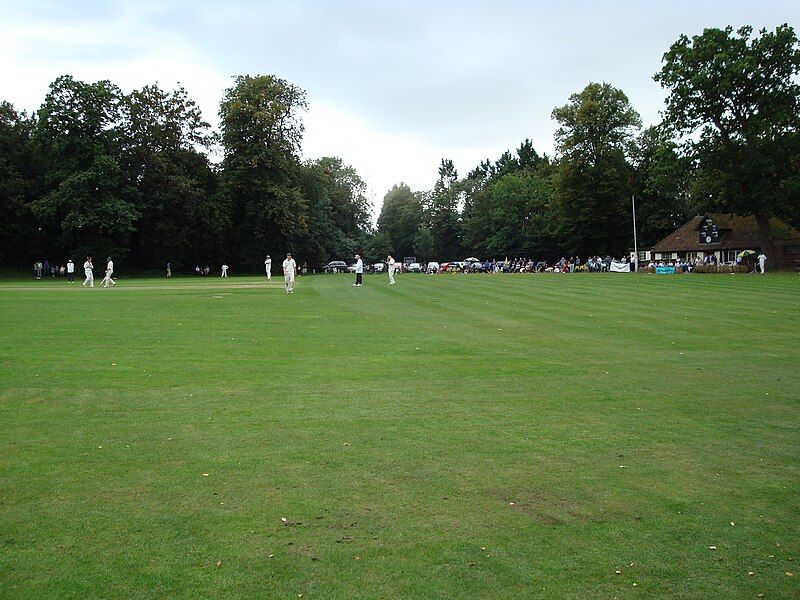 File:Farnham cricket1.jpg