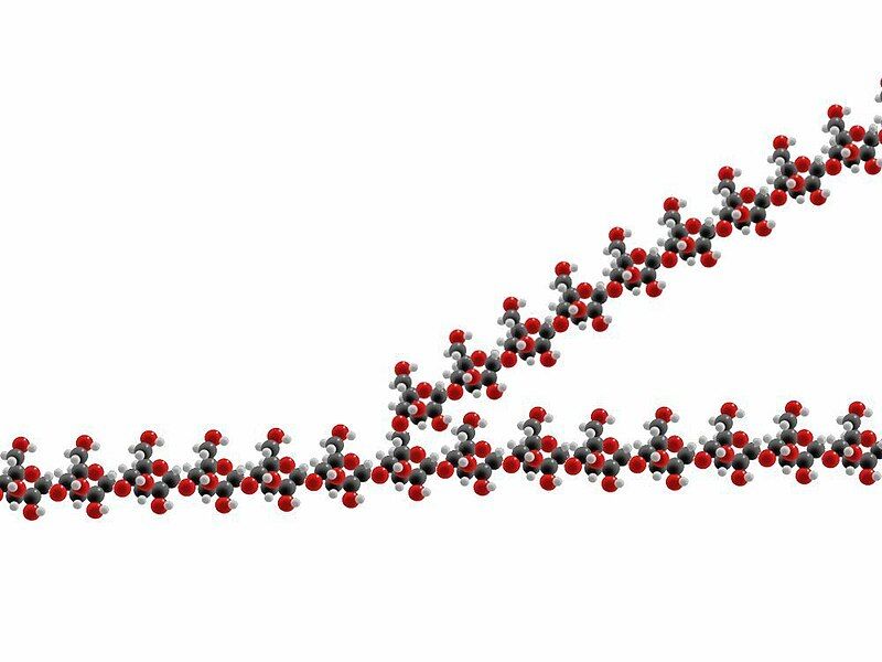 File:Glycogen spacefilling model.jpg