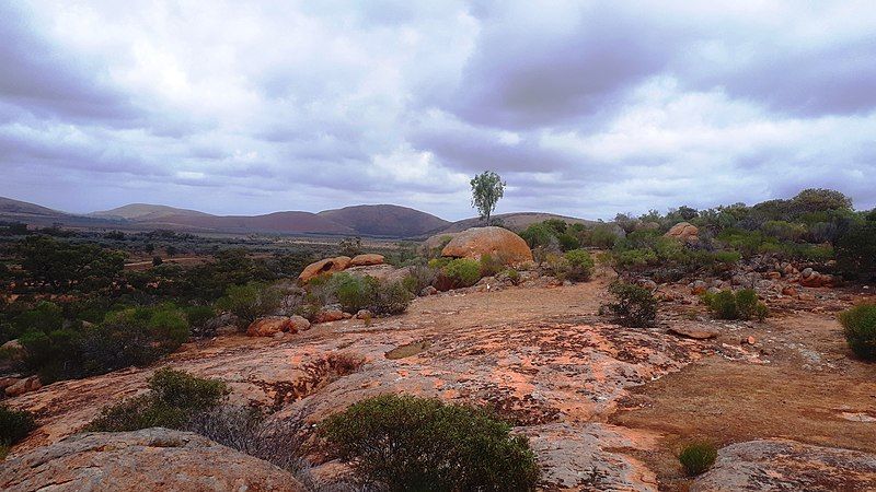 File:Hiltaba pink granite.jpg