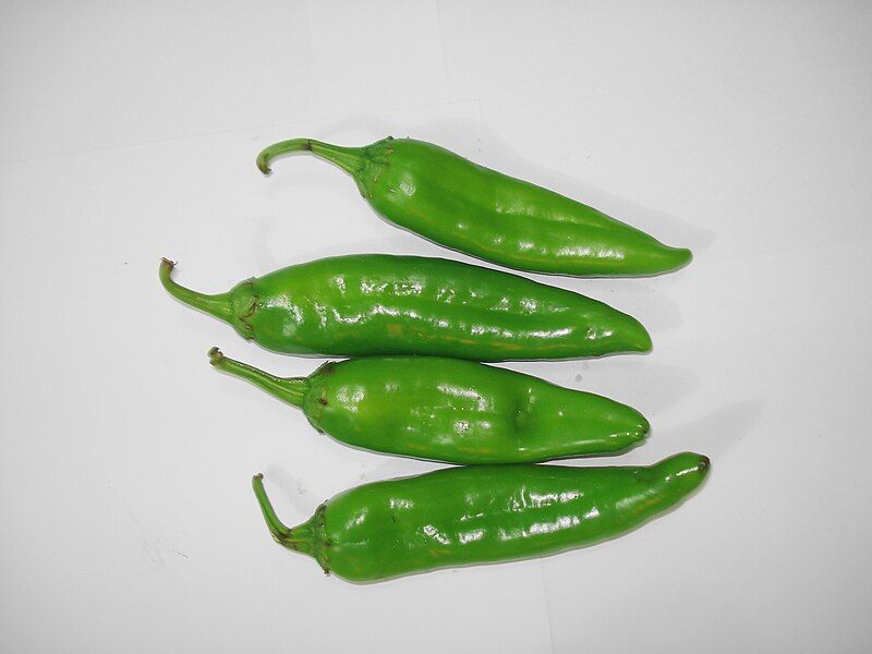 File:Kashmiri Green Chilli.JPG