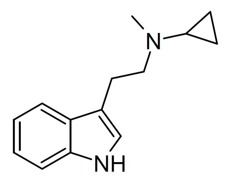 File:McPT structure.png