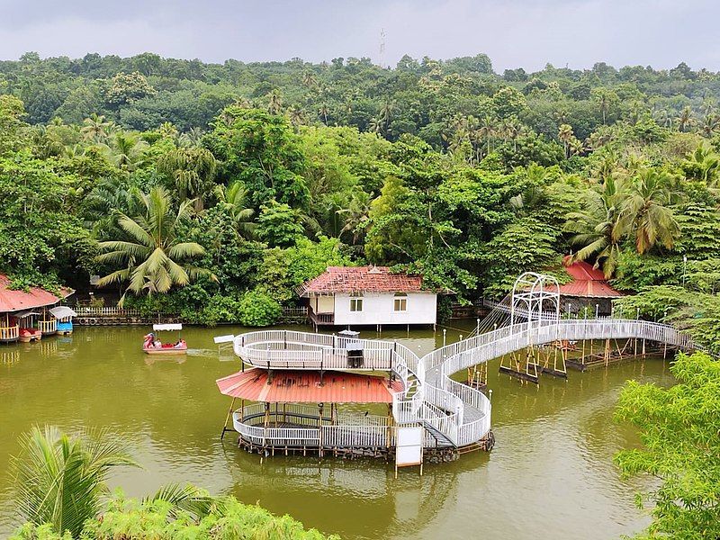 File:Meenoottu-palam-at-mango-meadows.jpg