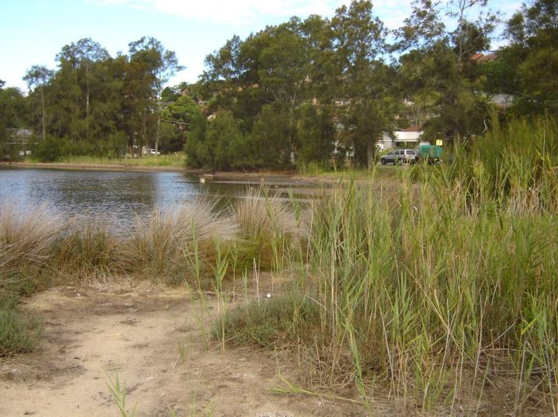 File:Narrabeen Lakeside.JPG