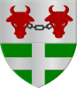 Coat of arms of Nijland