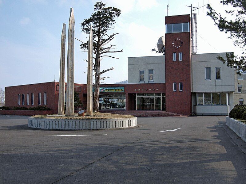 File:Otoineppu Village Hall.jpg