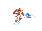 3dlq: Crystal structure of the IL-22/IL-22R1 complex