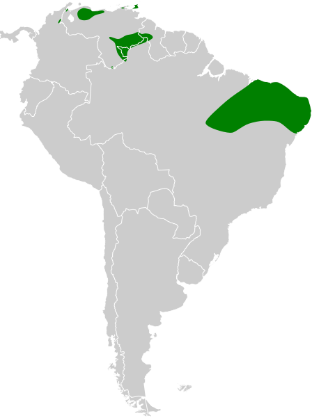 File:Procnias averano map.svg