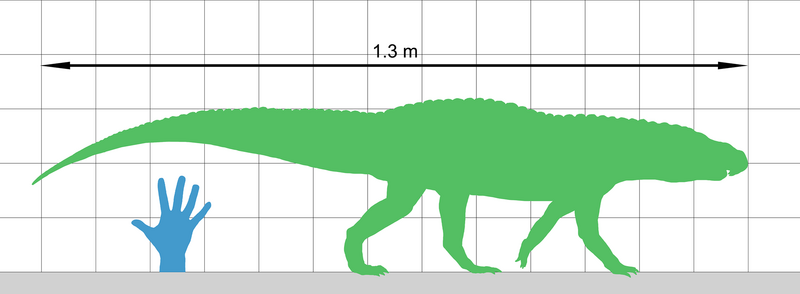 File:Riojasuchus Size.png