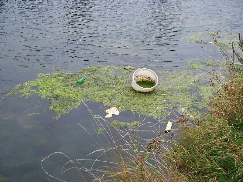 File:Rubbish in Lea.jpg