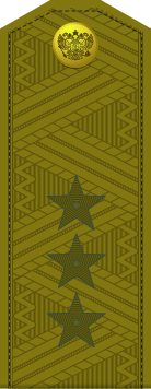 File:Russia-Army-OF-8-1994-camo.svg