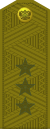 Colonel General