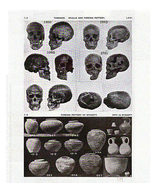 File:Tarkhanskulls.jpg