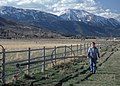 Image 20Ranching in Washoe County (from Nevada)