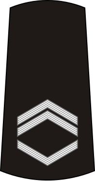 File:05-Serbian Navy-SSG.svg