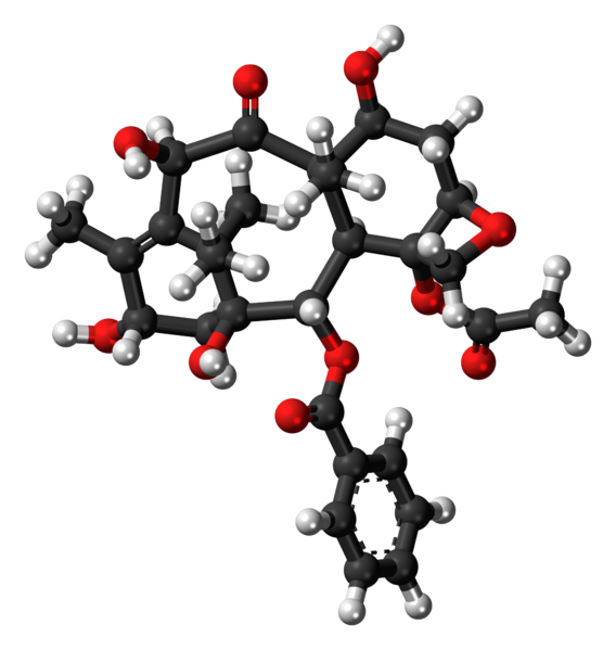 File:10-Deacetylbaccatin-III-3D-balls.png