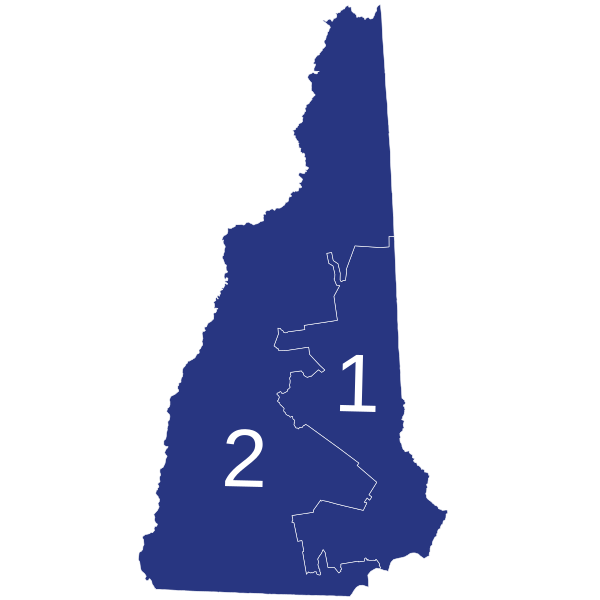 File:2020NHGOPpresidentialCDprimary.svg