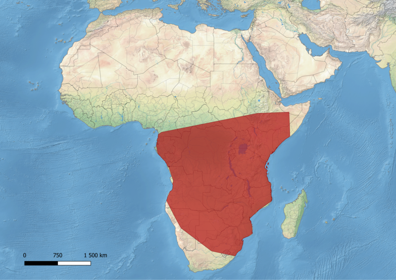 File:Chamaeleo dilepis distribution.png