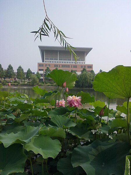 File:Chuzhou university.jpg