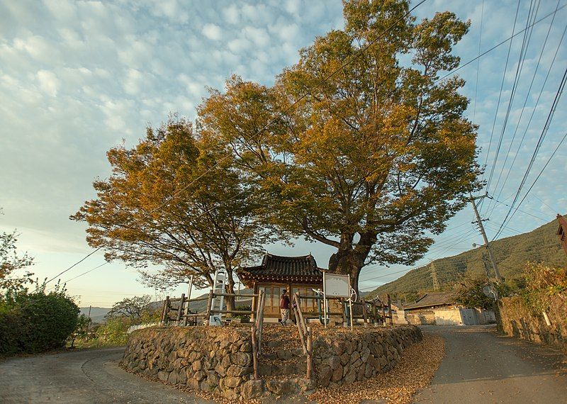 File:Dangsan-namu-suhan-village-korea PML9647.jpg