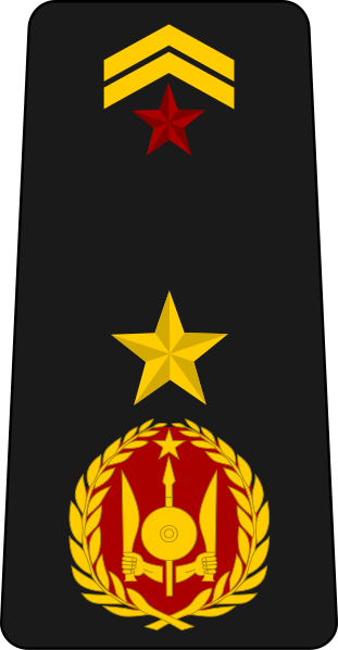 File:Djibouti-Navy-OF-4.svg