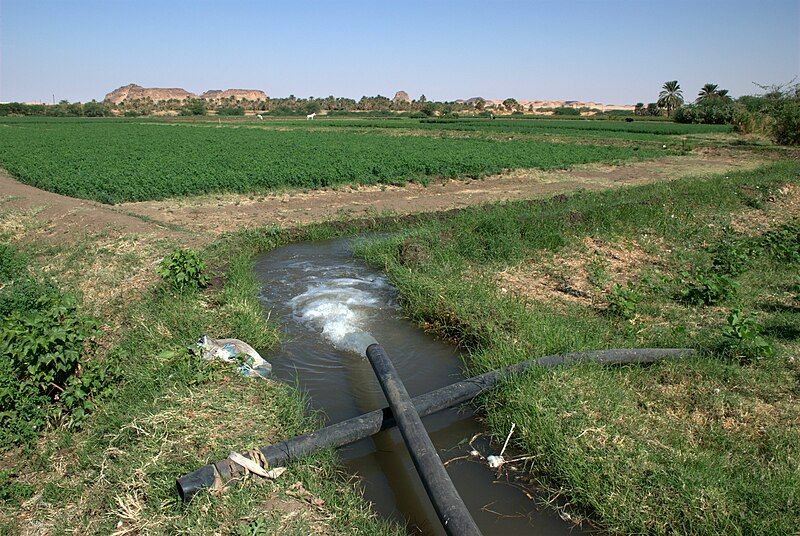 File:Karima agriculture.jpg