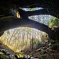 Image 25The Natural Bridge Rock in Winston County is the longest natural bridge east of the Rockies. (from Alabama)