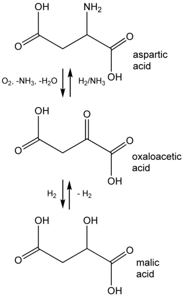 File:Oxaloac-malic.png