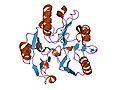 Dimethylarginine dimethylaminohydrolase (DDAH)