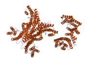 2b05: Crystal Structure of 14-3-3 gamma in complex with a phosphoserine peptide