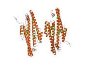 2gd5: Structural basis for budding by the ESCRTIII factor CHMP3