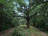 Pflaum-McWilliams Mound Group