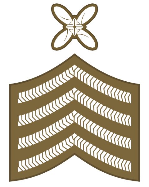 File:RFC Quartermaster Sergeant.svg