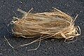 Raffia