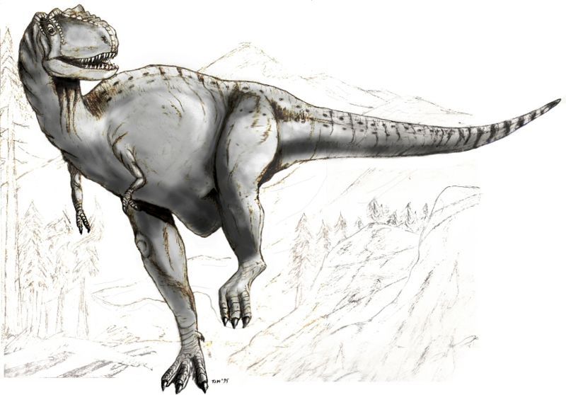 File:Sketch albertosaurus.jpg