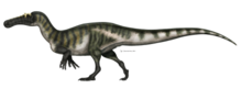 Life restoration of the African spinosaurid Suchomimus tenerensis