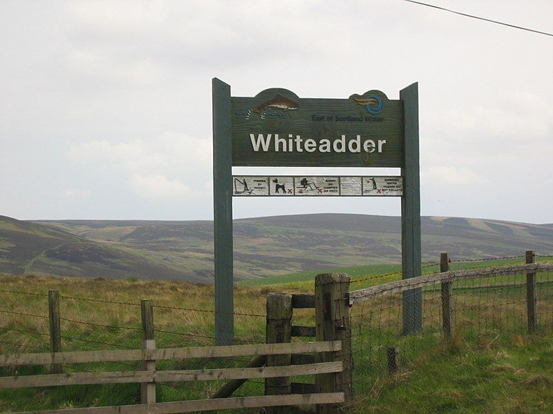 File:WhiteadderSign.jpg