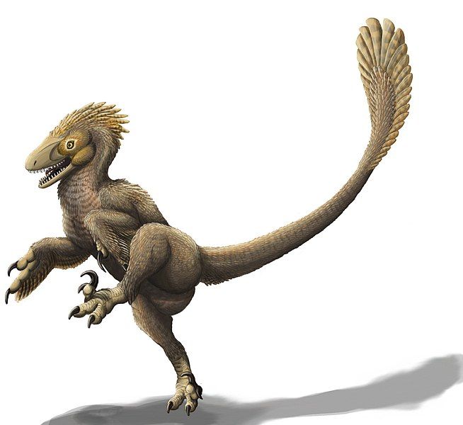 File:Balaur bondoc.jpg