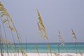 The coast of Walton County is fringed by emerald Gulf waters.