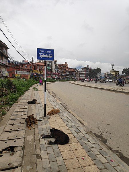 File:Bus Stop Stand.jpg